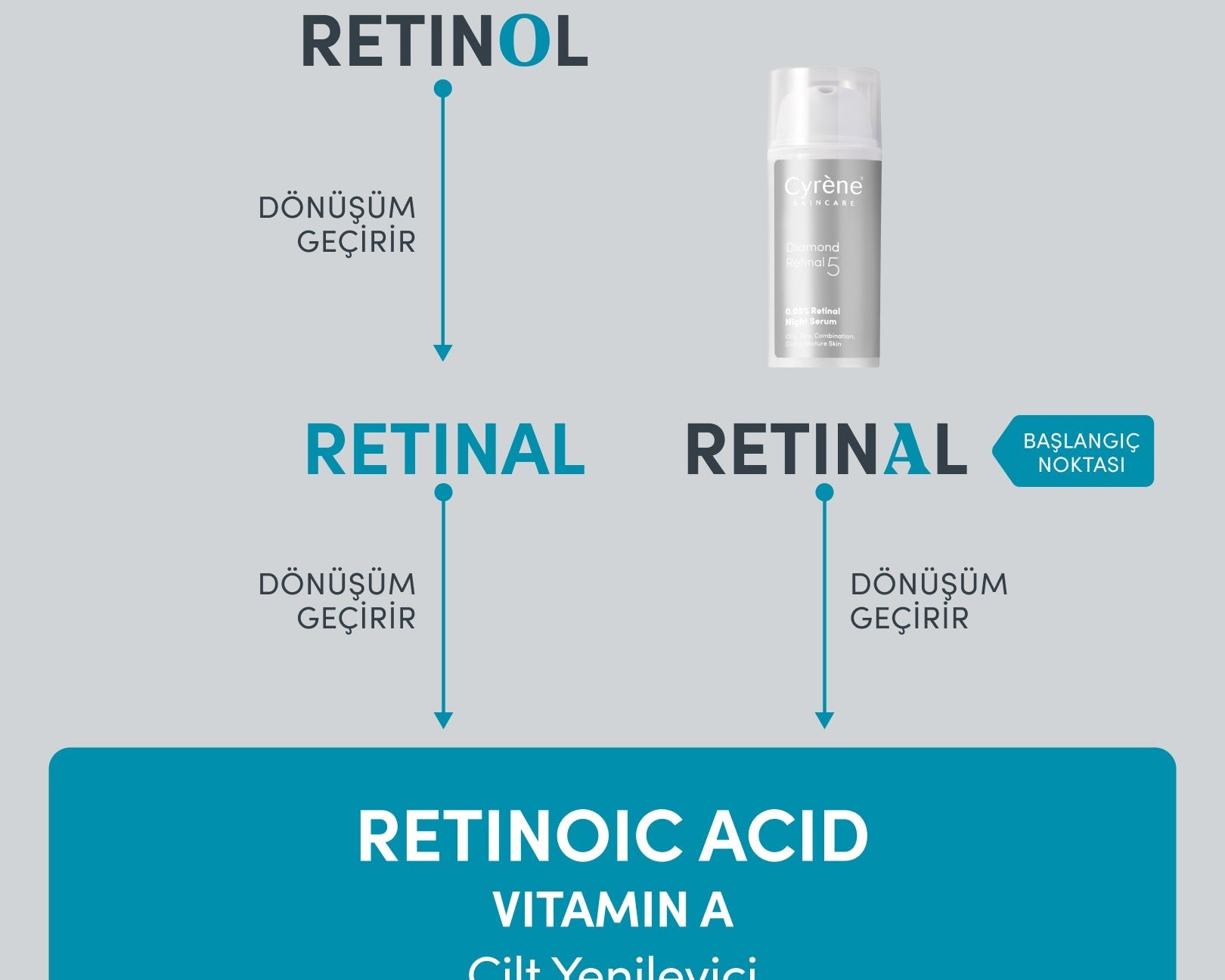 Retinal mi, Retinol mü? Aradaki Fark Neden Önemli?