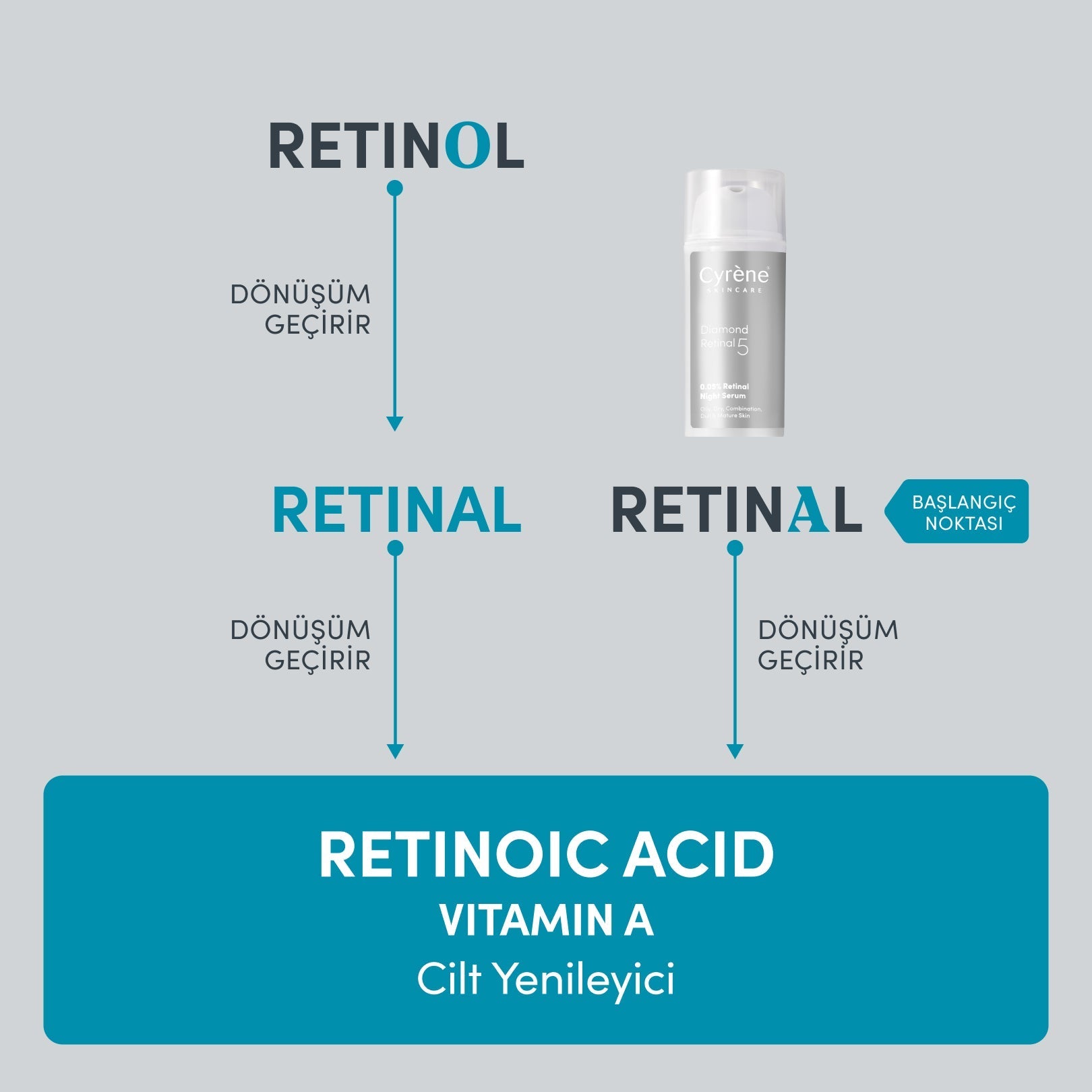 Retinal mi, Retinol mü? Aradaki Fark Neden Önemli?